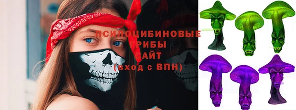 хмурый Вяземский