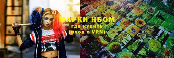 стафф Гусев