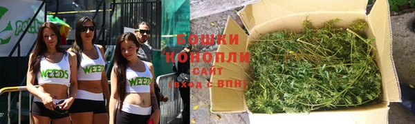 хмурый Вяземский