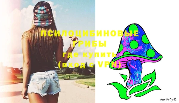 хмурый Вяземский