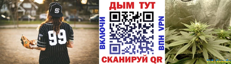 Бошки марихуана планчик  Закаменск 